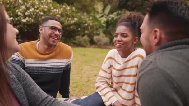 Група щасливих багатонаціональних друзів, що сидять разом у парку, спілкуються один з одним — стокове відео
