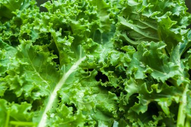 su damlası ile taze yeşil sebze temizleme