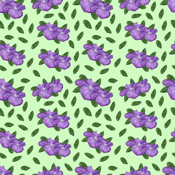 seamless pattern with blooming purple flowers with green leaves on pastel green background
