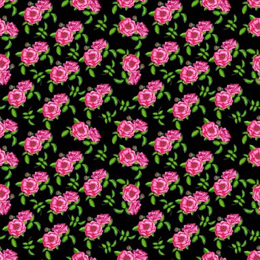 Siyah arka planda çiçeklenme pembe güller ile Dikişsiz desen 