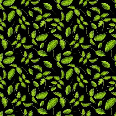 Siyah arkaplanda yeşil yapraklı pürüzsüz desen