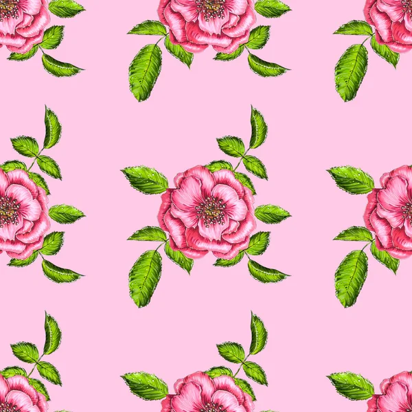 Bezszwowy Wzór Kwitnącymi Różowymi Róż Pastelowych Różowym Tle — Zdjęcie stockowe