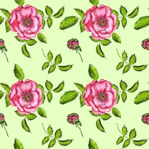 Bezszwowy Wzór Kwitnącymi Różowymi Róż Pastelowych Zielonych Tle — Zdjęcie stockowe