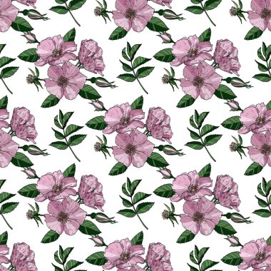 Beyaz arka planda çiçeklenme çiçekler ile Dikişsiz desen