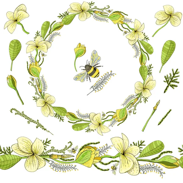 Couronne Avec Fleurs Jaune Pastel Plumeria Fleuries Sur Fond Blanc — Image vectorielle