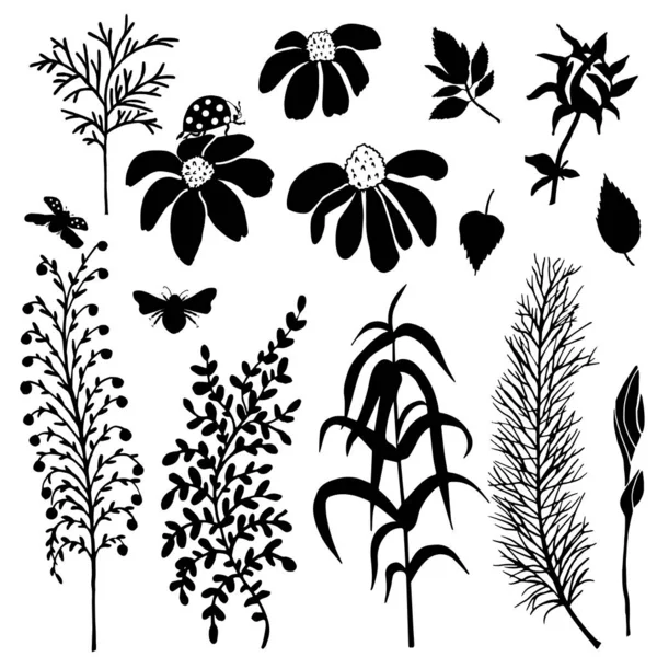 Collection Silhouettes Noires Fleurs Feuilles Sur Fond Blanc — Image vectorielle