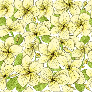 Beyaz arka planda çiçeklenme sarı Plumeria çiçekler ile Dikişsiz desen 