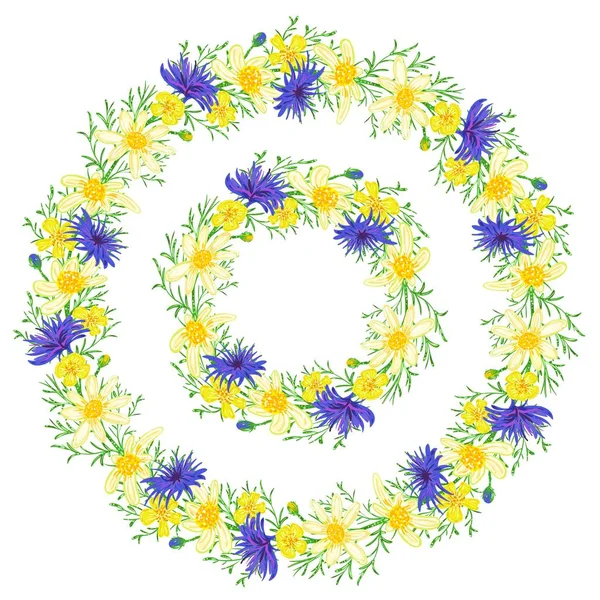 Runde Florale Rahmen Aus Gelben Und Blauen Blumen Auf Weißem — Stockvektor