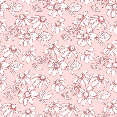 Bir pastel arka plan üzerinde rudbeckia çiçeklerile Çiçek dikişsiz arka plan.