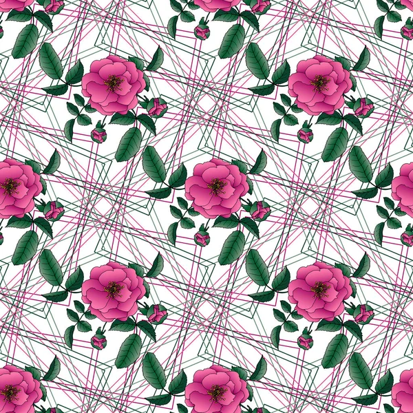 흰색 배경에 밝은 분홍색 장미와 원활한 패턴. — 스톡 벡터
