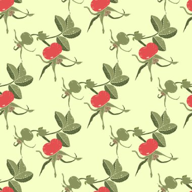 Kuşburnu dalları, kırmızı ve yeşil kuşburnu meyveleri ve açık yeşil arka plan izole yeşil yaprakları ile Dikişsiz arka plan. Vektör çizimi.