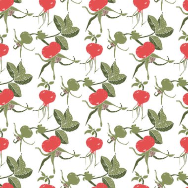 Kuşburnu dalları, kırmızı ve yeşil kuşburnu meyveleri ve beyaz arka plan üzerinde izole yeşil yaprakları ile Dikişsiz arka plan. Vektör çizimi.