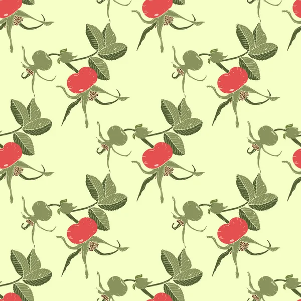 Kuşburnu dalları, kırmızı ve yeşil kuşburnu meyveleri ve açık yeşil arka plan izole yeşil yaprakları ile Dikişsiz arka plan. Vektör çizimi.
