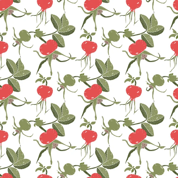 Kuşburnu dalları, kırmızı ve yeşil kuşburnu meyveleri ve beyaz arka plan üzerinde izole yeşil yaprakları ile Dikişsiz arka plan. Vektör çizimi.