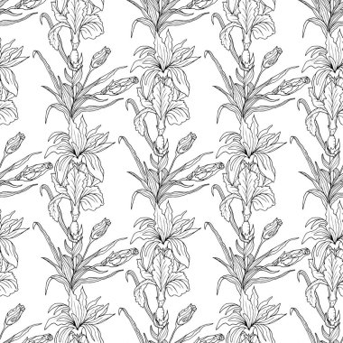 Beyaz arkaplanda süsen ve yapraklarla kusursuz desen.