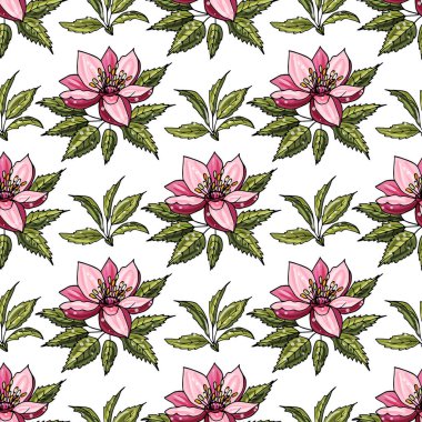 Pembe elma çiçekleri ve beyaz yapraklarla kusursuz bir arkaplan..