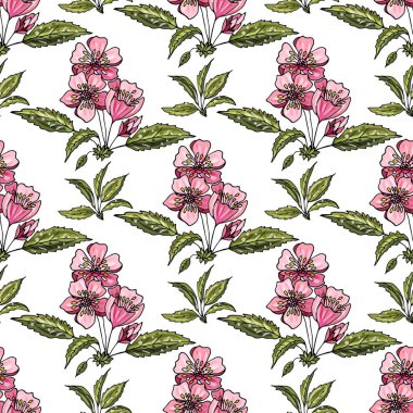 Pembe elma çiçekleri ve beyaz yapraklarla kusursuz bir arkaplan..