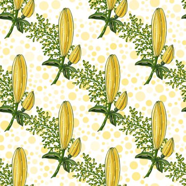 Beyaz zambak tomurcukları ve şifalı bitkilerle kusursuz ışık arka planı.