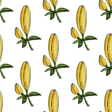 Beyaz zambak tomurcukları ile kusursuz ışık arkaplanı. Tasarım için sonsuz doku.