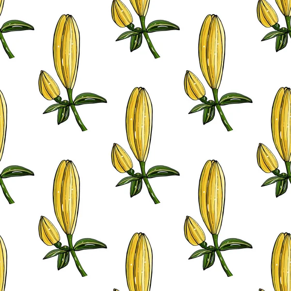 Beyaz zambak tomurcukları ile kusursuz ışık arkaplanı. Tasarım için sonsuz doku.