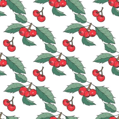 Yeşil yapraklı ve kırmızı meyveli pürüzsüz desen.