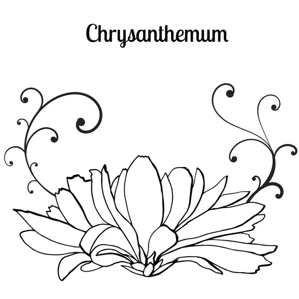 Sammlung handgezeichneter Chrysanthemenblüten und dekorativer Linien. — Stockvektor