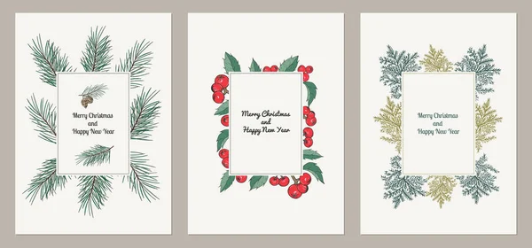 Set of cards for the winter holidays with fir brunches and berries holy. — Stock Vector