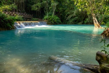 Şelale (tat kuang sı şelaleler luang prabang, laos, yağmur ormanlarında.)