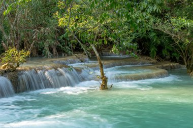 Şelale (tat kuang sı şelaleler luang prabang, laos, yağmur ormanlarında.)