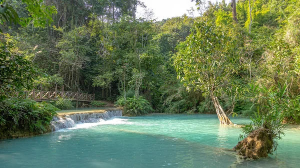 Şelale (tat kuang sı şelaleler luang prabang, laos, yağmur ormanlarında.)