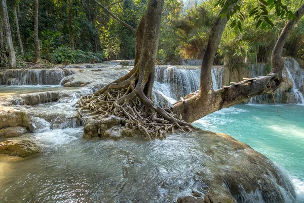 Şelale (tat kuang sı şelaleler luang prabang, laos, yağmur ormanlarında.)