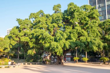Rio de Janeiro, Brezilya - 01 Ağustos 2019: Ipanema bölgesinin kalbinde, Nossa Senhora da Paz meydanı manzarası