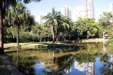 göl ve Hindistan cevizi ağaçları ile Park
