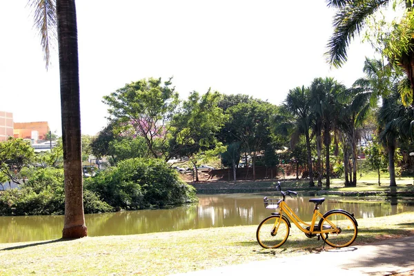 Bicicleta junto al lago en el parque — Foto de Stock