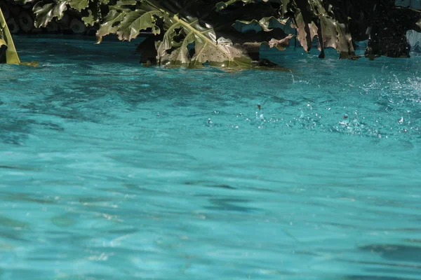 Eau de piscine bleue réfléchissant le soleil ondulé details.surface de la piscine bleue, fond de l'eau dans la piscine . — Photo