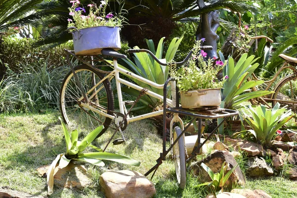 Retro vintage decoratieve fiets oud model inbouwmand tuin — Stockfoto