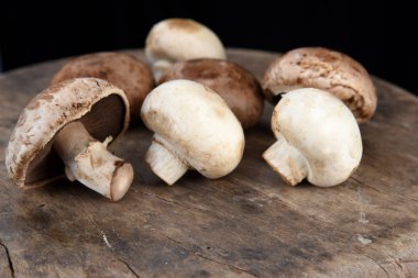 Tahta masada taze şampiyon mantarları, yakın plan. t için boşluk
