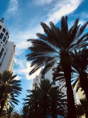 Miami sıcak yaz gününde gökyüzünün görünümü.