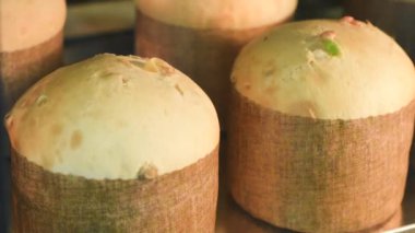 Paskalya pastasının süresi dolmuş. Fırında kekler. Paskalya pastasının hızlı pişirilmesi. Fırın. Pasta, bayram hazırlığı. ? ombi fırını.