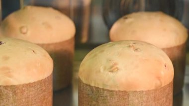 Paskalya pastasının süresi dolmuş. Fırında kekler. Paskalya pastasının hızlı pişirilmesi. Fırın. Pasta, bayram hazırlığı. ? ombi fırını.