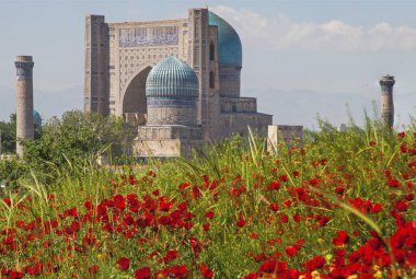 Bibi Honum ile Poppies.
