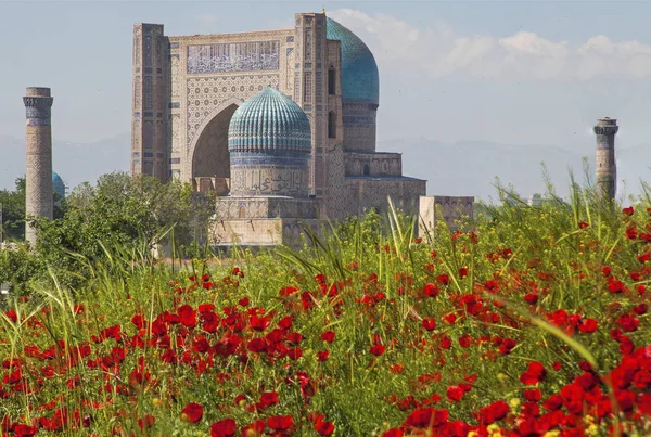 Bibi Honum ile Poppies.