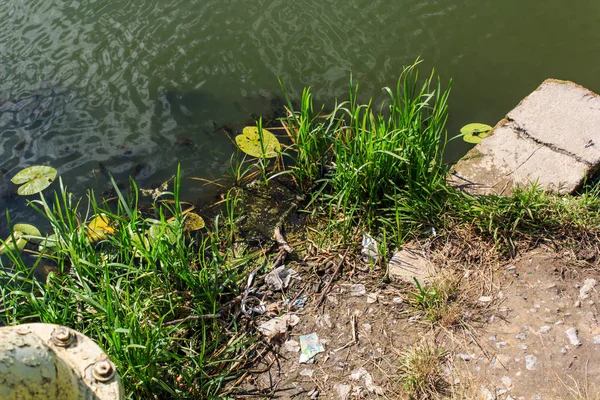 Ρύπανση Του Ποταμού Πλαστικά Απόβλητα Γυαλί Καταστροφή Των Χώρων Του — Φωτογραφία Αρχείου