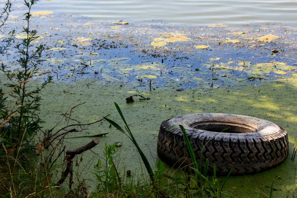 river pollution with plastic, waste, glass and a car tire. destruction of river spaces. nature pollution concept