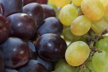 beyaz ve mor üzüm. meyve yin yang kavramı