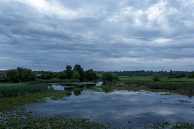 şafak öncesi manzara. bataklık, nehir, yeşil çalılar ve ağaçlar. mavi bulutlu gökyüzü. sabah sakin, sessizlik ve barış.
