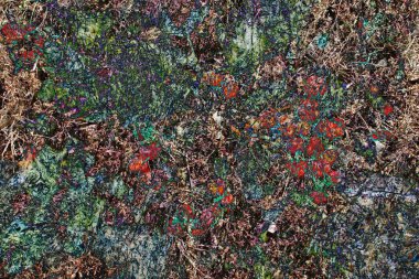 Soyut fantezi - yapraklı sonbahar motifleri kullanarak arka plan. kurgusal kompozisyon