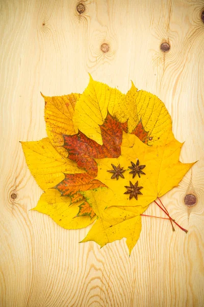 Couleur feuilles d'automne sur un fond en bois — Photo