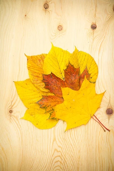 Barevné podzimní listy na dřevěném pozadí — Stock fotografie