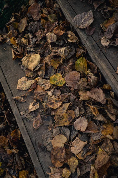 Wooden vintage steps covered with withered fall foliage